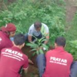 Tree Plantation Near Pune